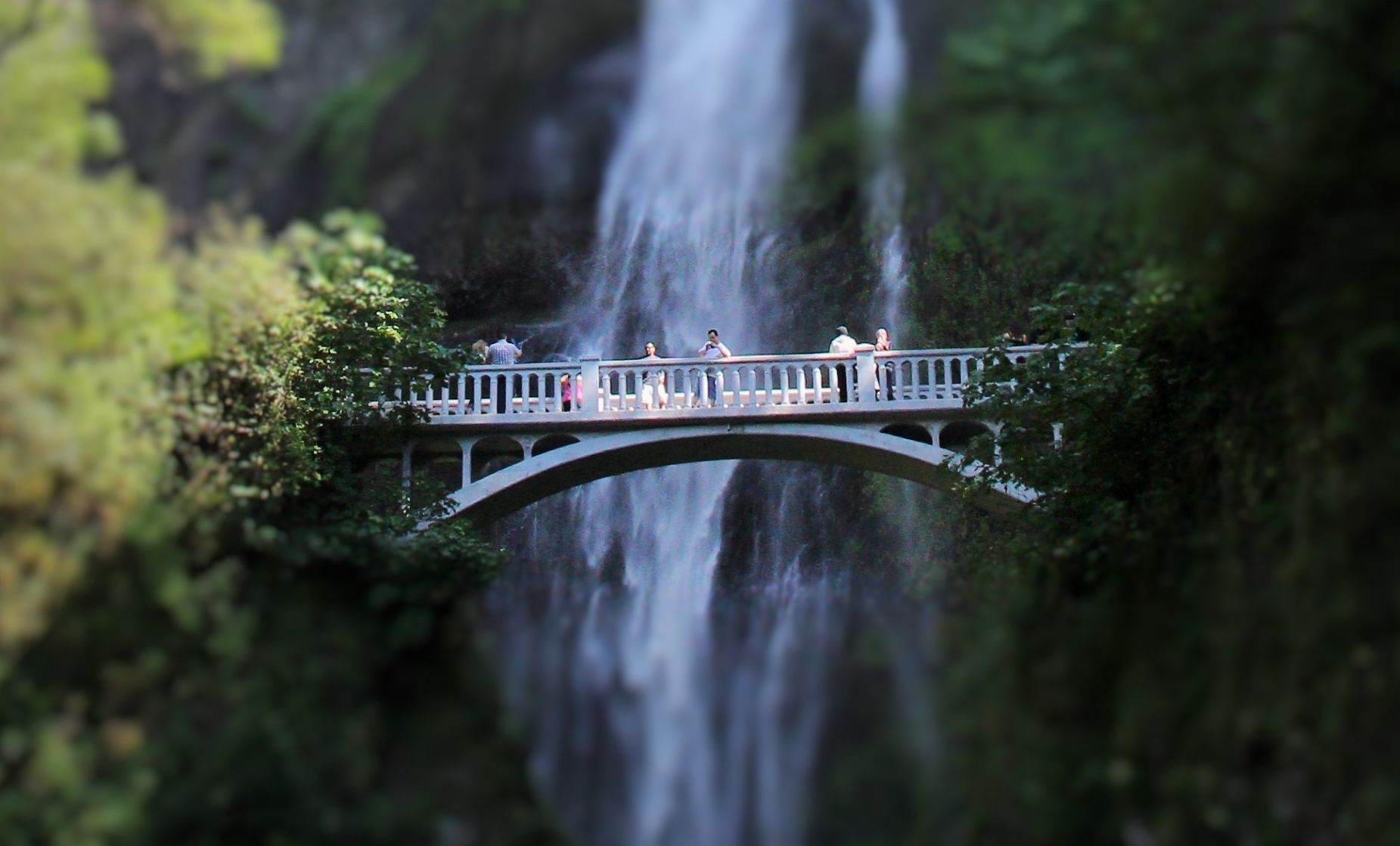 Multnomah Falls Bridge